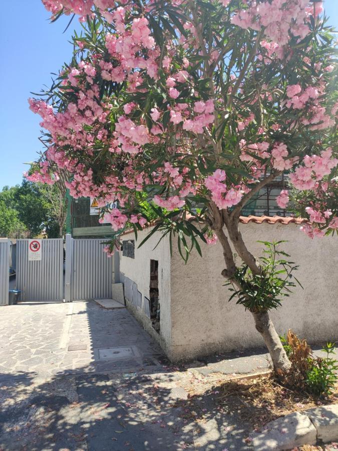 Casa Vacanze Фьюмичино Экстерьер фото